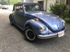 Thumbnail Photo 0 for 1971 Volkswagen Beetle